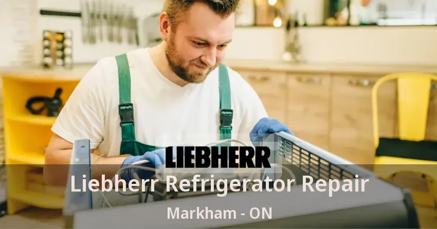 Liebherr Refrigerator Repair Markham - ON