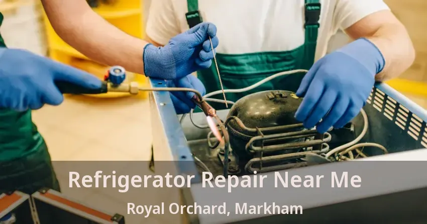 Refrigerator Repair Near Me Royal Orchard, Markham - ON