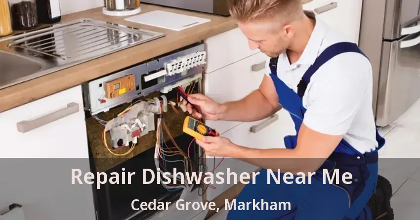 Repair Dishwasher Near Me Cedar Grove, Markham - ON