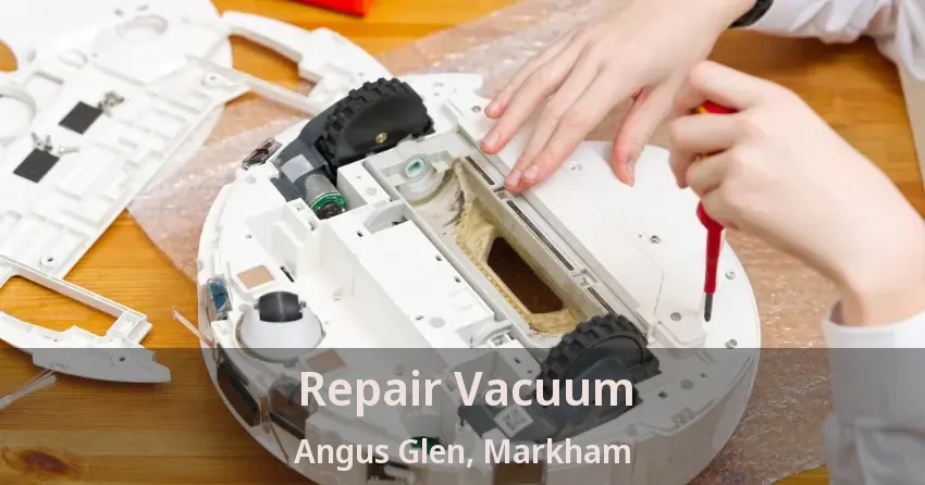 Repair Vacuum Angus Glen, Markham - ON