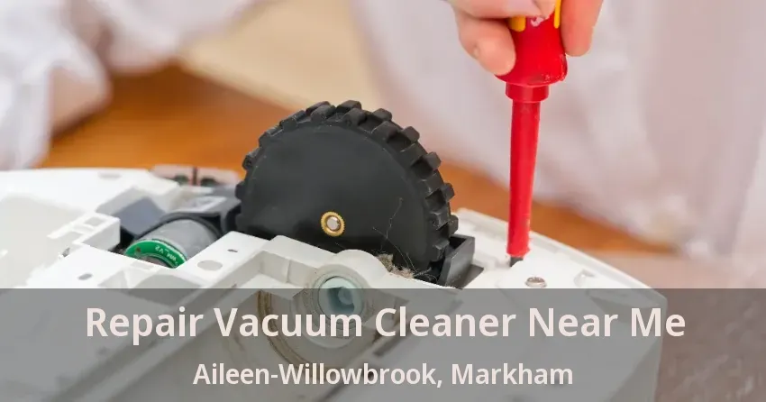 Repair Vacuum Cleaner Near Me Aileen-Willowbrook, Markham - ON