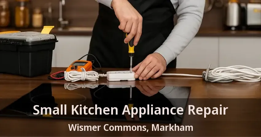 Small Kitchen Appliance Repair Wismer Commons, Markham - ON