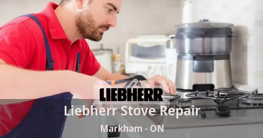 Liebherr Stove Repair Markham - ON