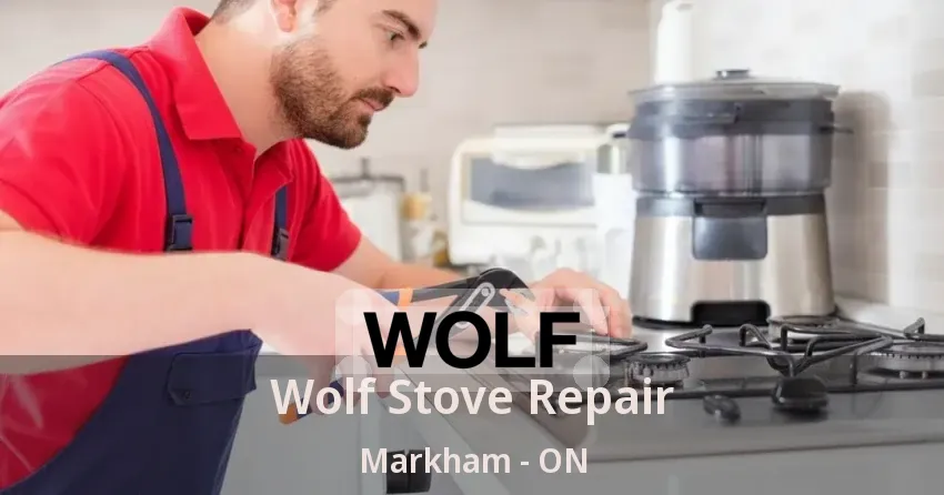 Wolf Stove Repair Markham - ON