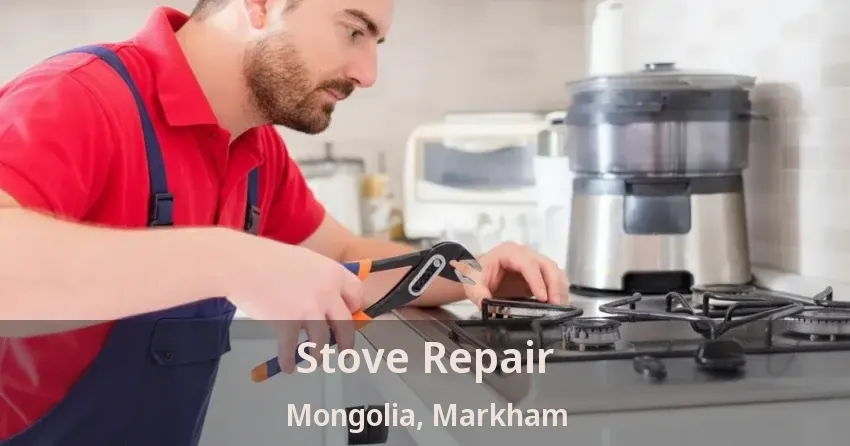 Stove Repair Mongolia, Markham - ON