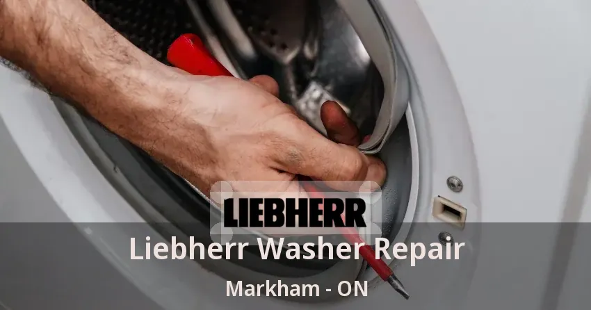 Liebherr Washer Repair Markham - ON