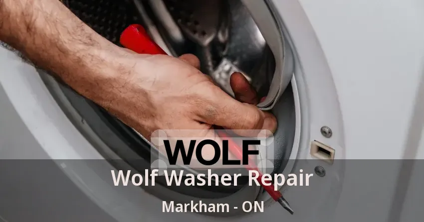Wolf Washer Repair Markham - ON