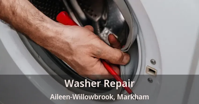 Washer Repair Aileen-Willowbrook, Markham - ON