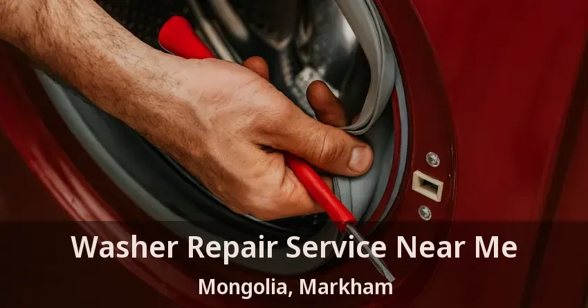 Washer Repair Service Near Me Mongolia, Markham - ON